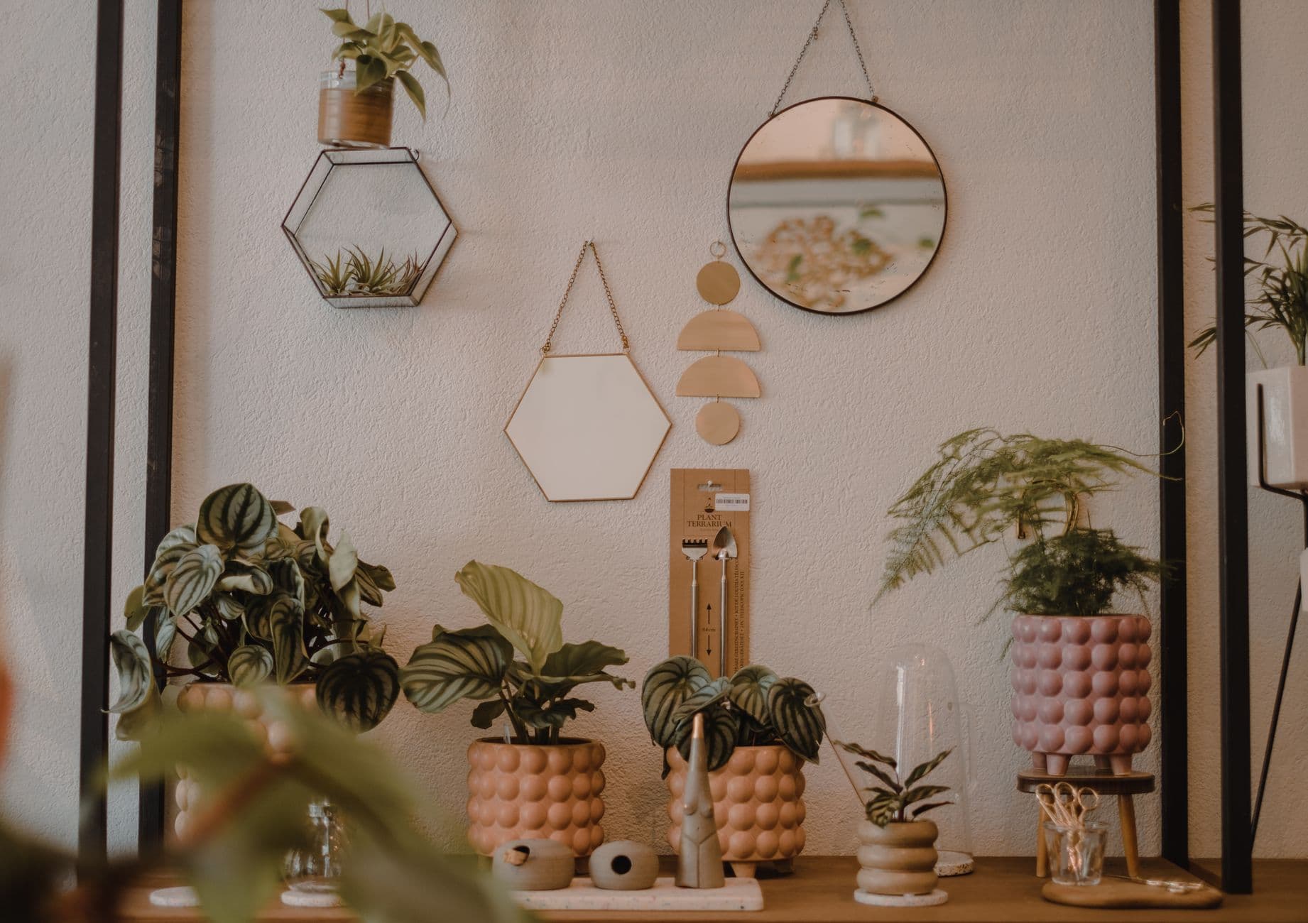 Collection of various decorative potted plants with green leaves on shelf with various figurines near wall with mirrors in creative room